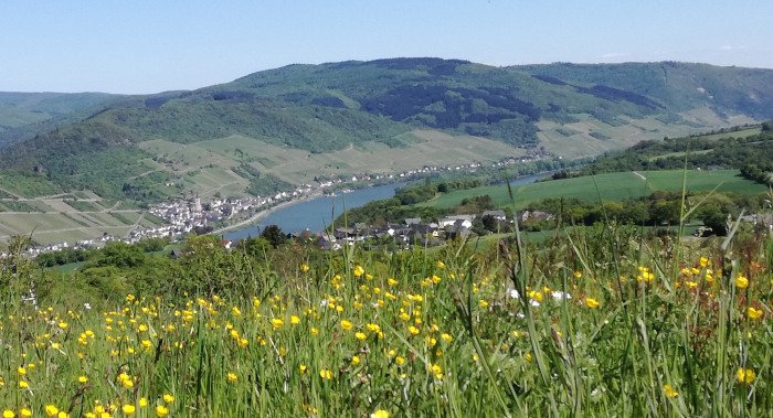 Rheinhöhe01